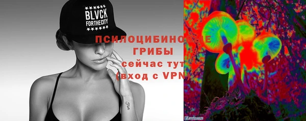 apvp Михайловск