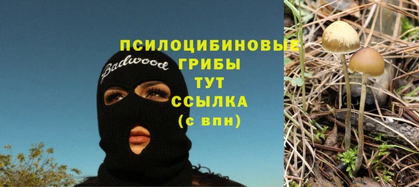 apvp Михайловск