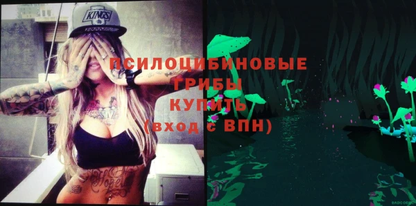 apvp Михайловск