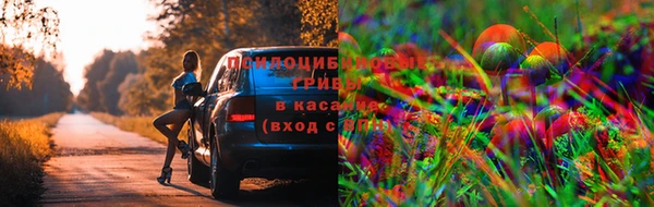 apvp Михайловск