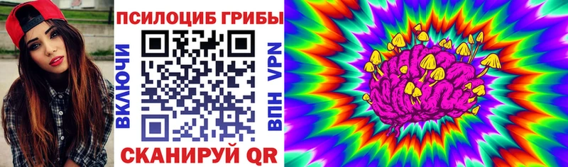 где купить   Мегион  Галлюциногенные грибы MAGIC MUSHROOMS 